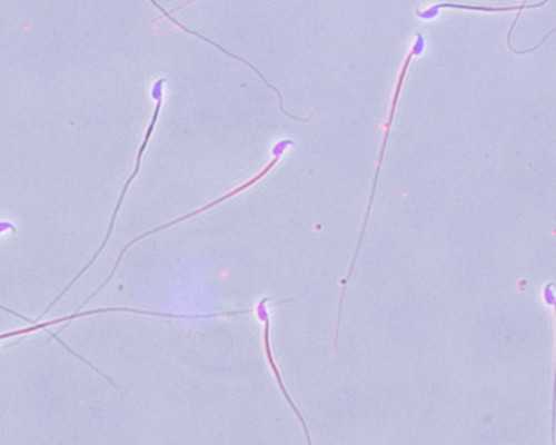 2026贝因美奶粉哪个系列好(贝因美奶粉系列价格排名) 代孕公司哪家公司好